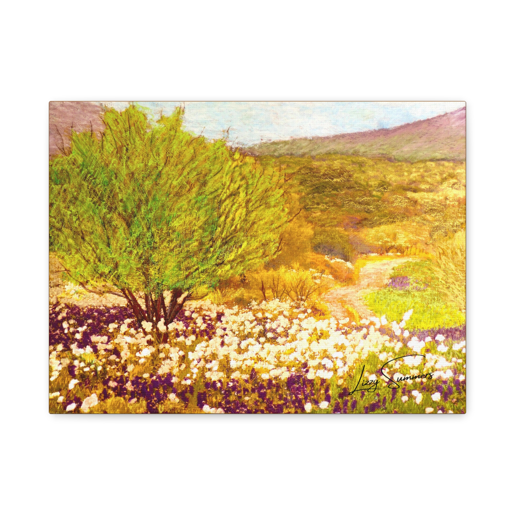 Matte Canvas, Stretched, 1.25" Hill Country pastel - Image 5
