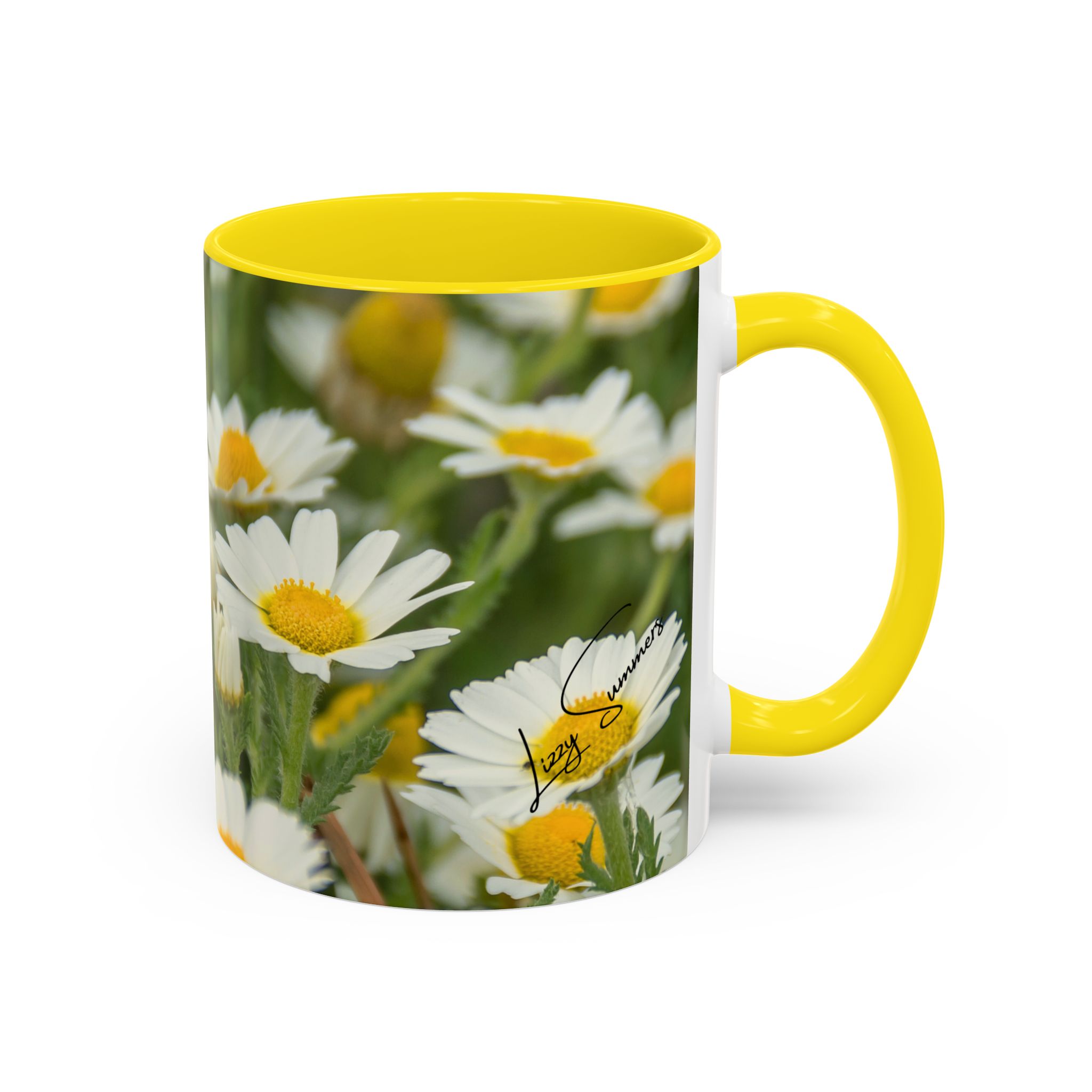 Coffee Mug Daisies - Image 10