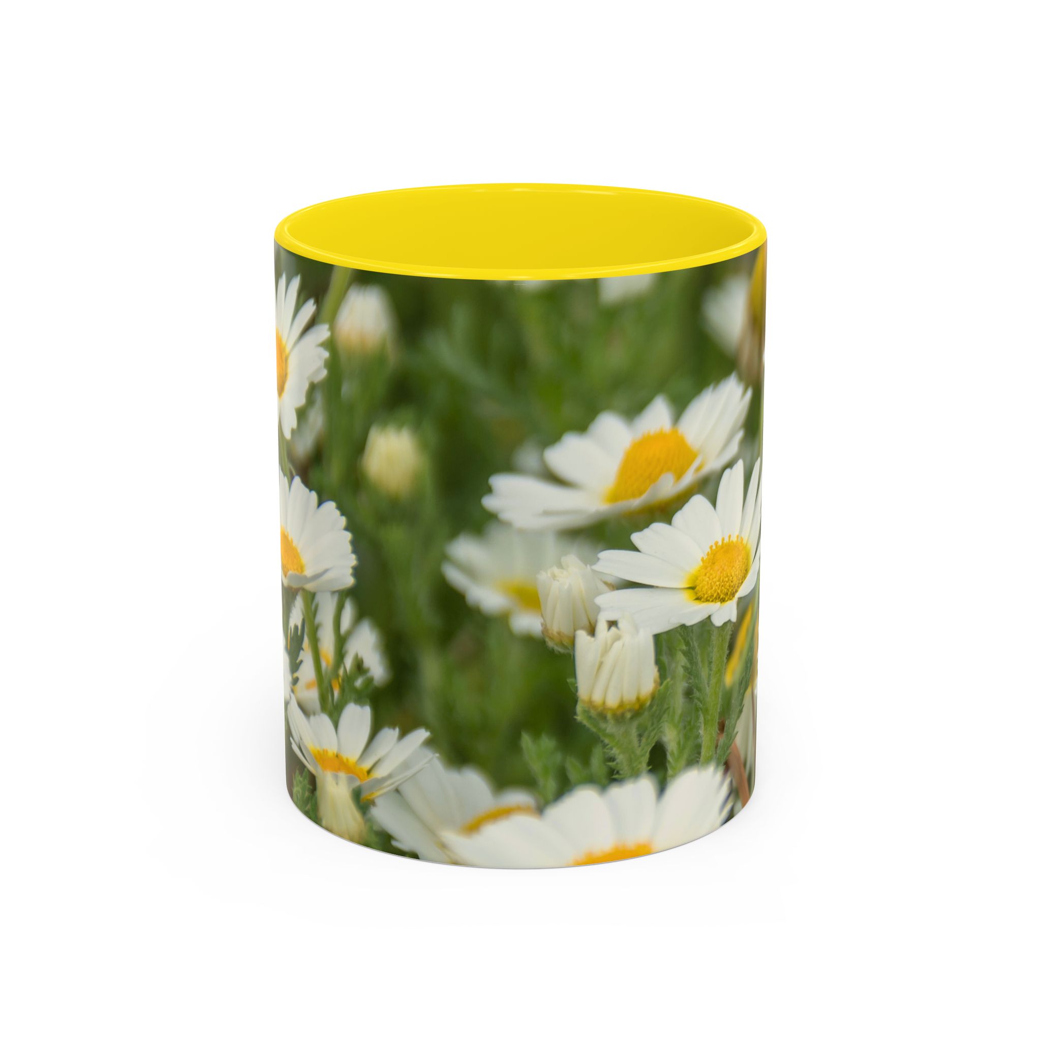 Coffee Mug Daisies - Image 9