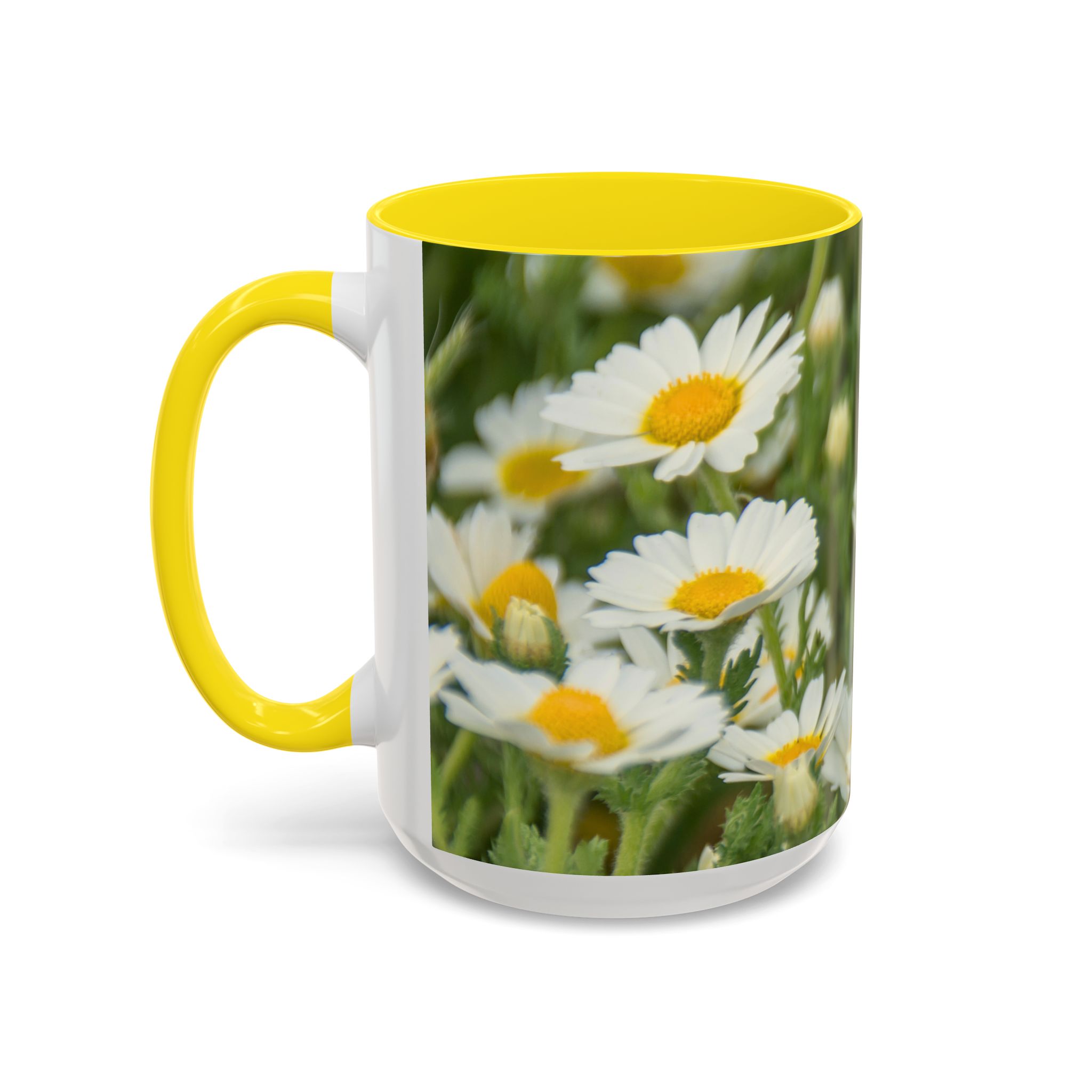 Coffee Mug Daisies - Image 15