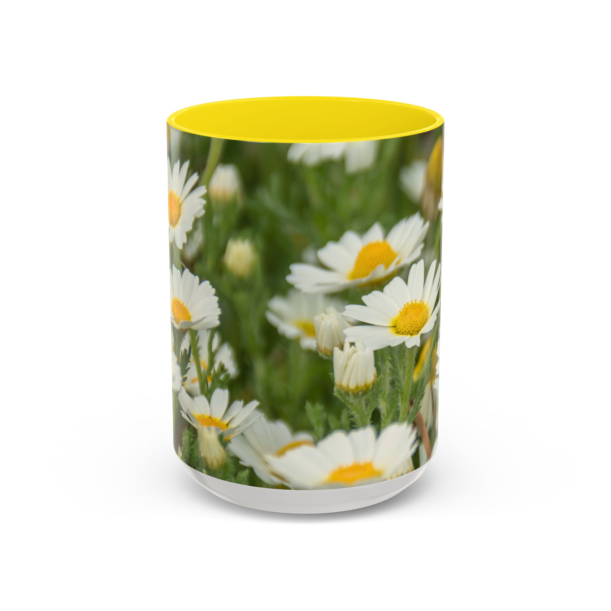 Coffee Mug Daisies - Image 13