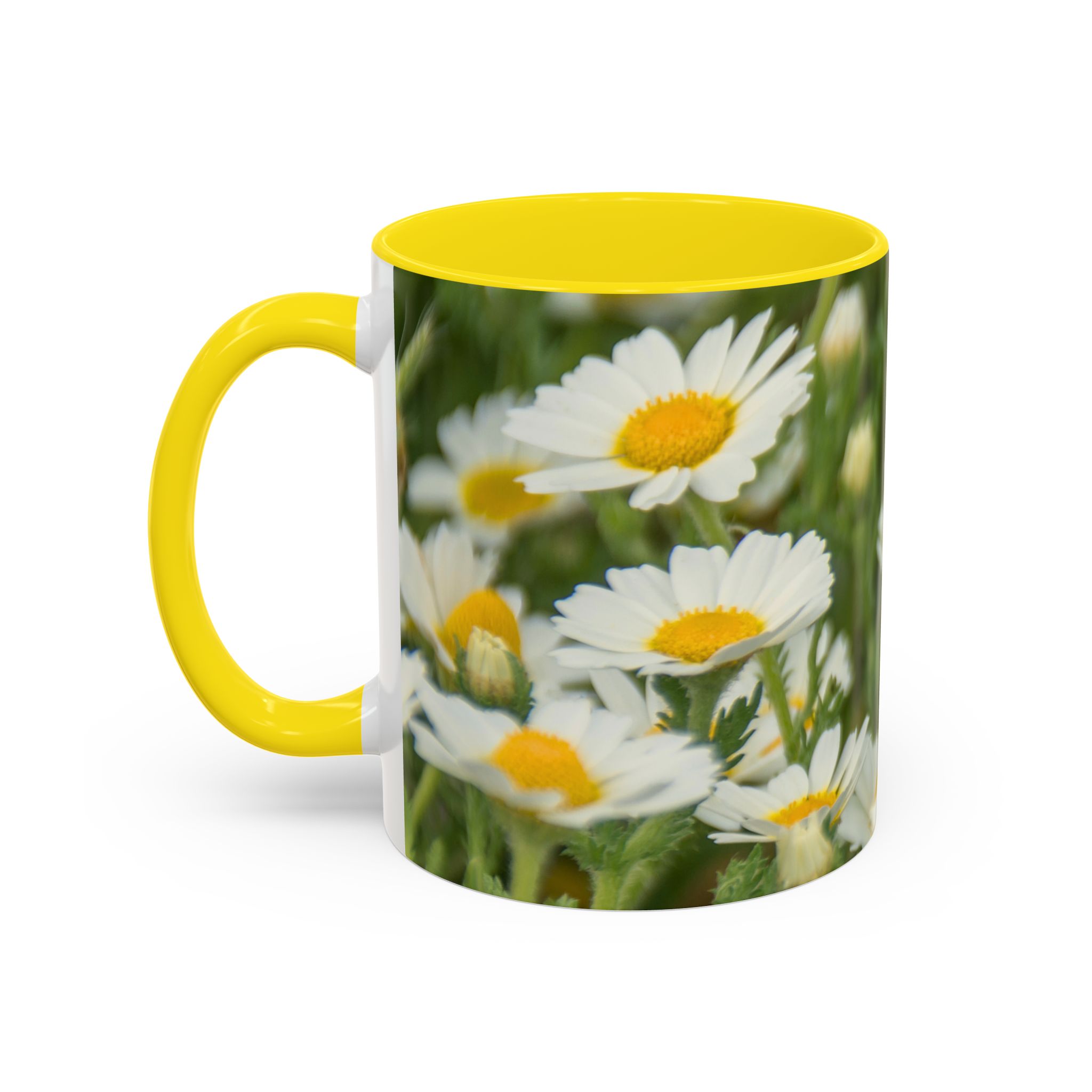 Coffee Mug Daisies - Image 11