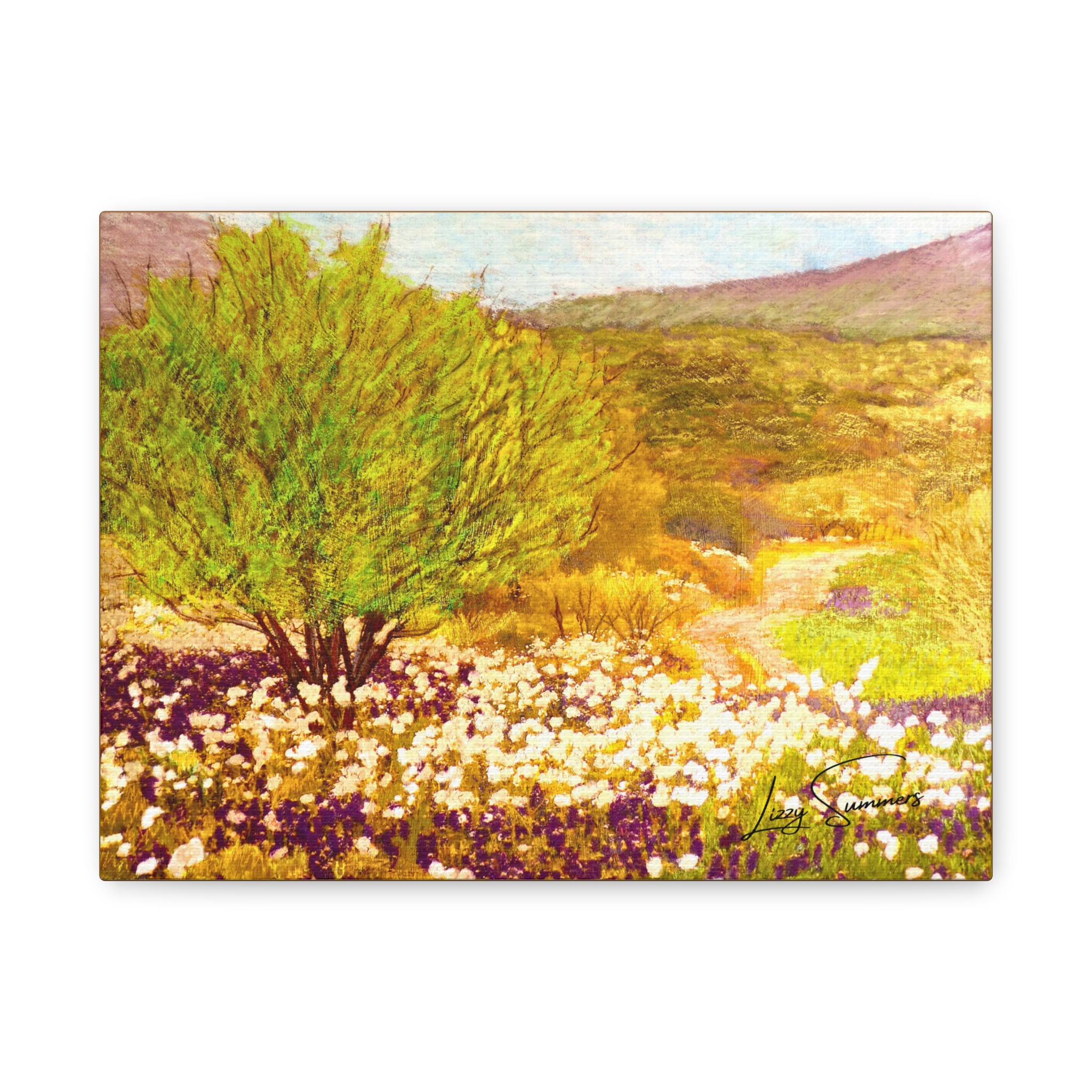Matte Canvas, Stretched, 1.25" Hill Country pastel