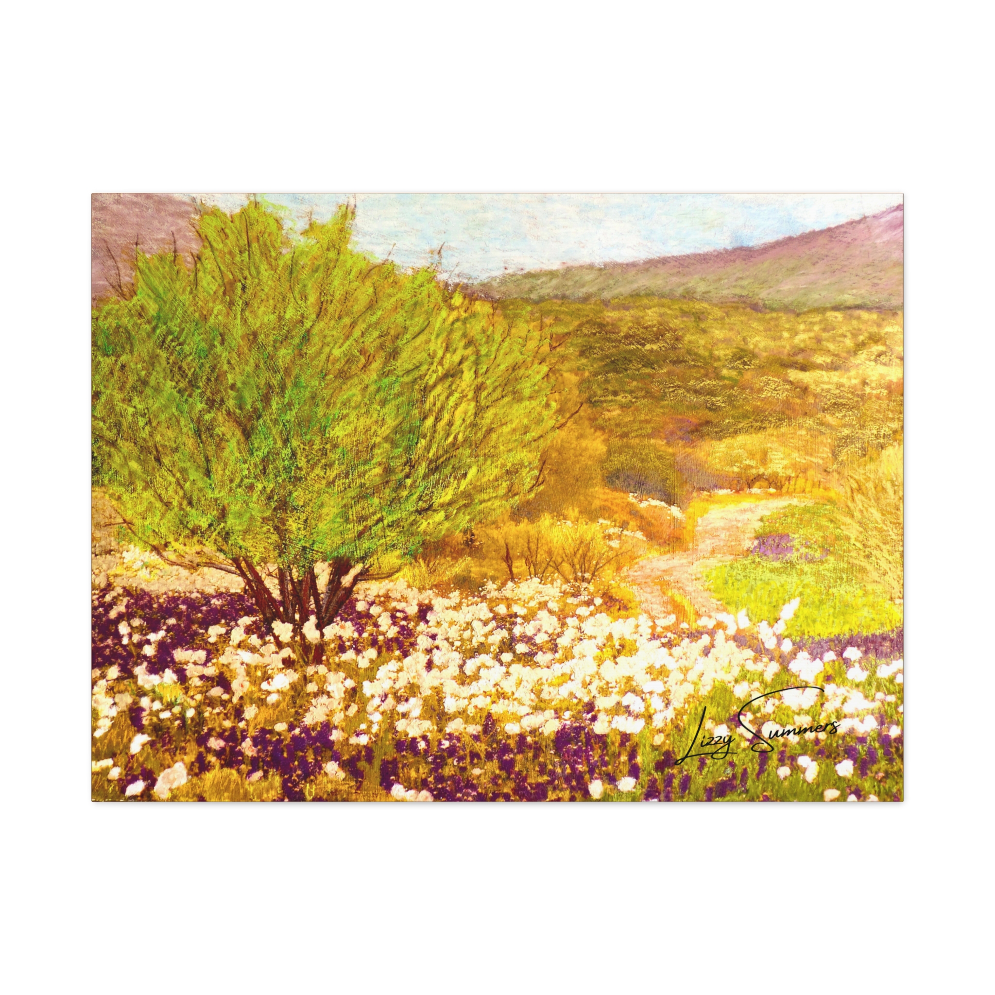 Matte Canvas, Stretched, 1.25" Hill Country pastel - Image 17