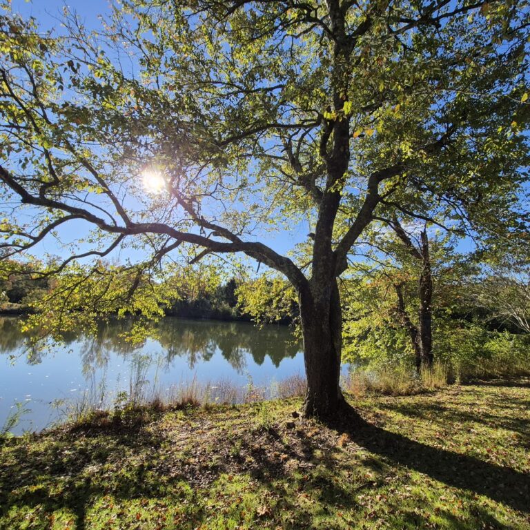 New Inspiration in the Blue Ridge Mountains