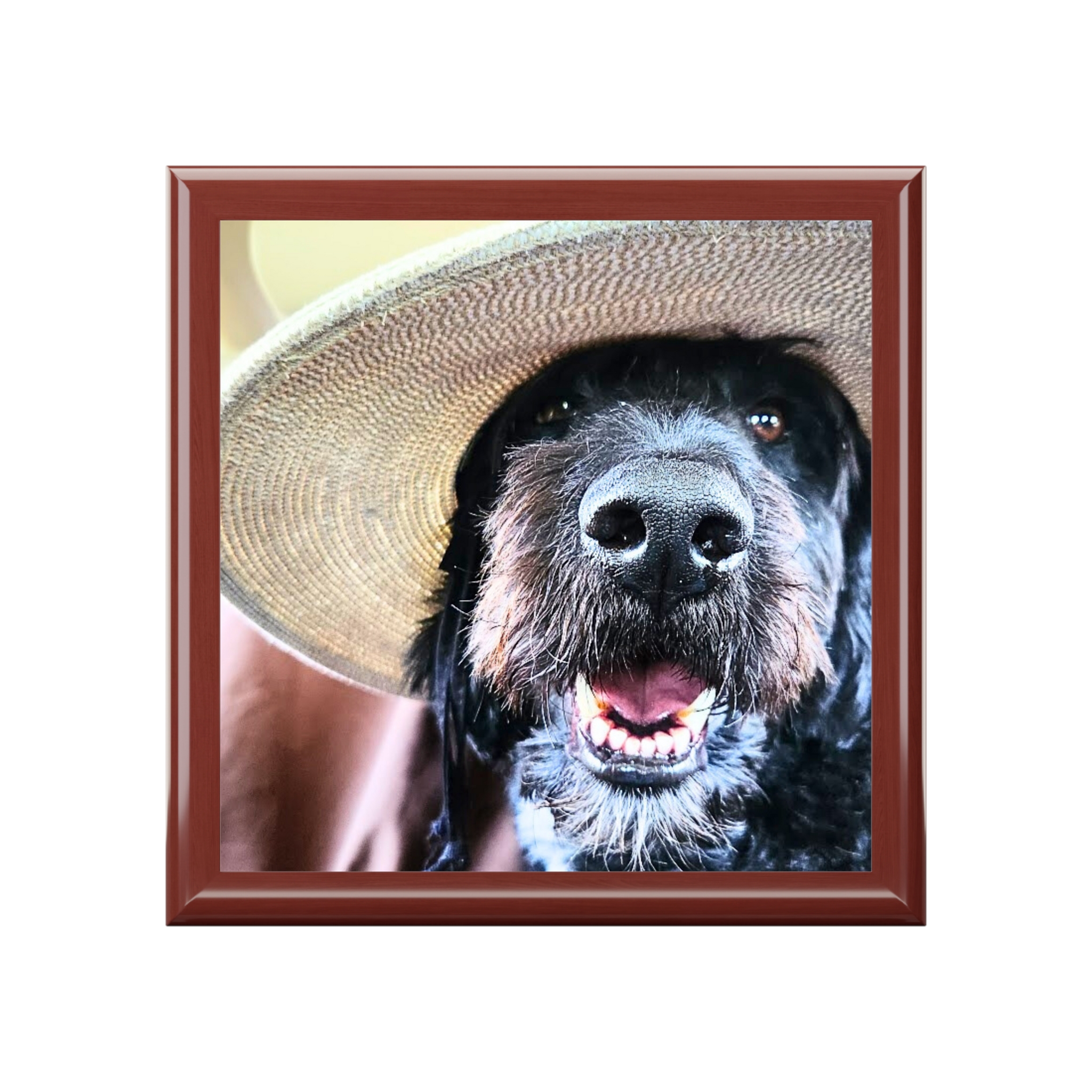 Pet Keepsake Box - Image 4